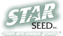 Star Seed logo